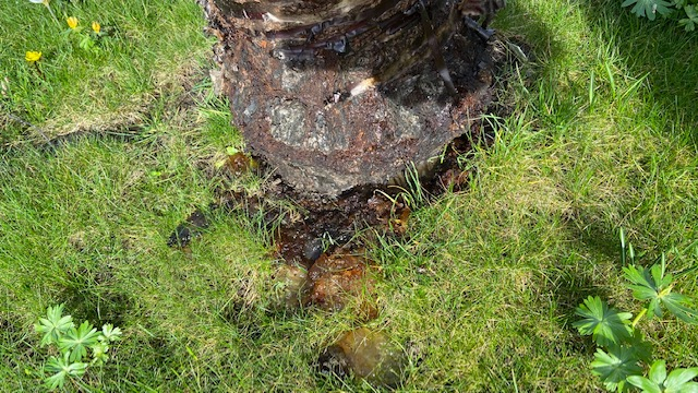 Image: https://us.v-cdn.net/6030279/uploads/editor/72/8n2oh79wsjvb.jpg