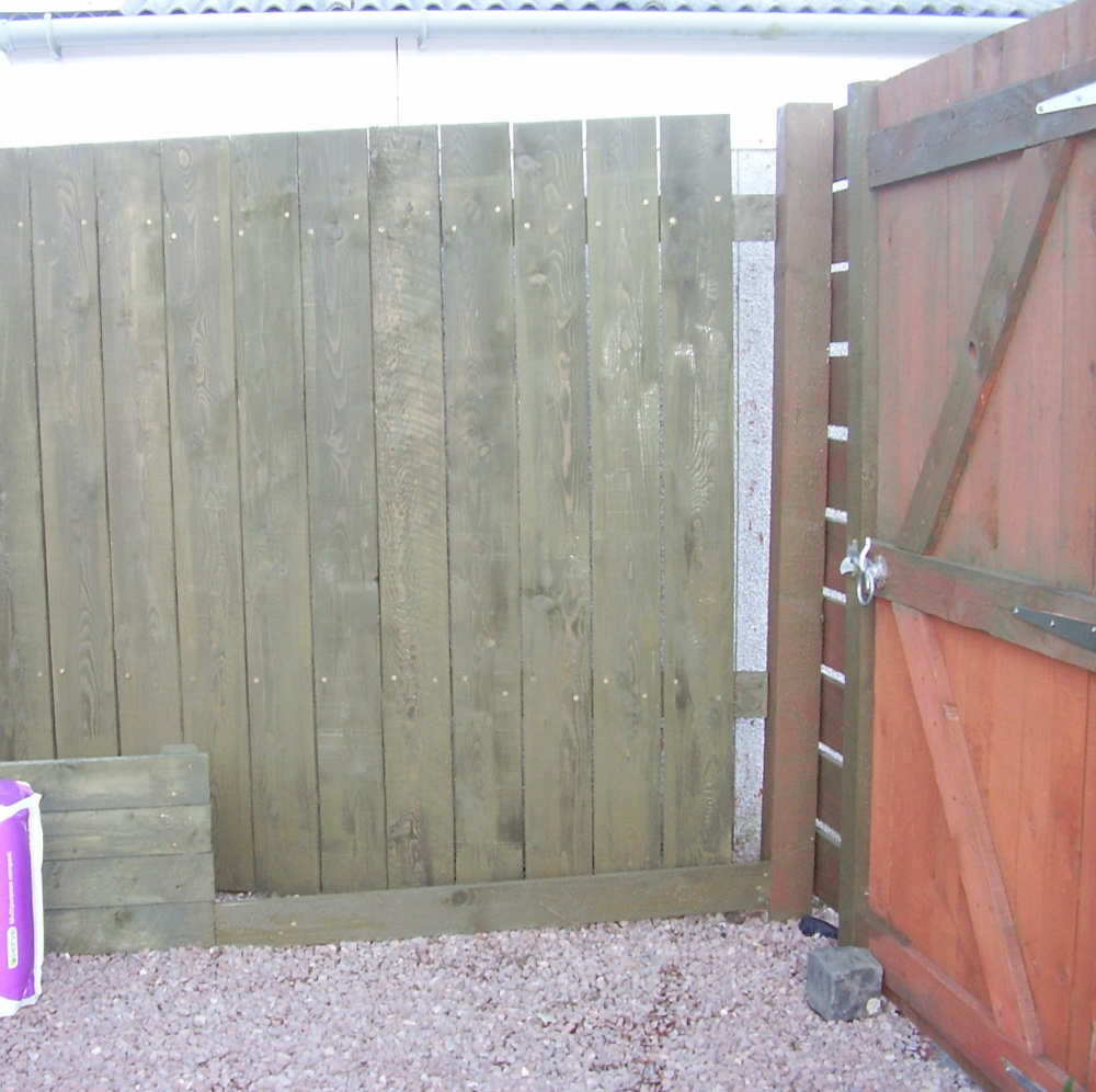 Neighbour growing plants up my garage wall — BBC Gardeners' World Magazine