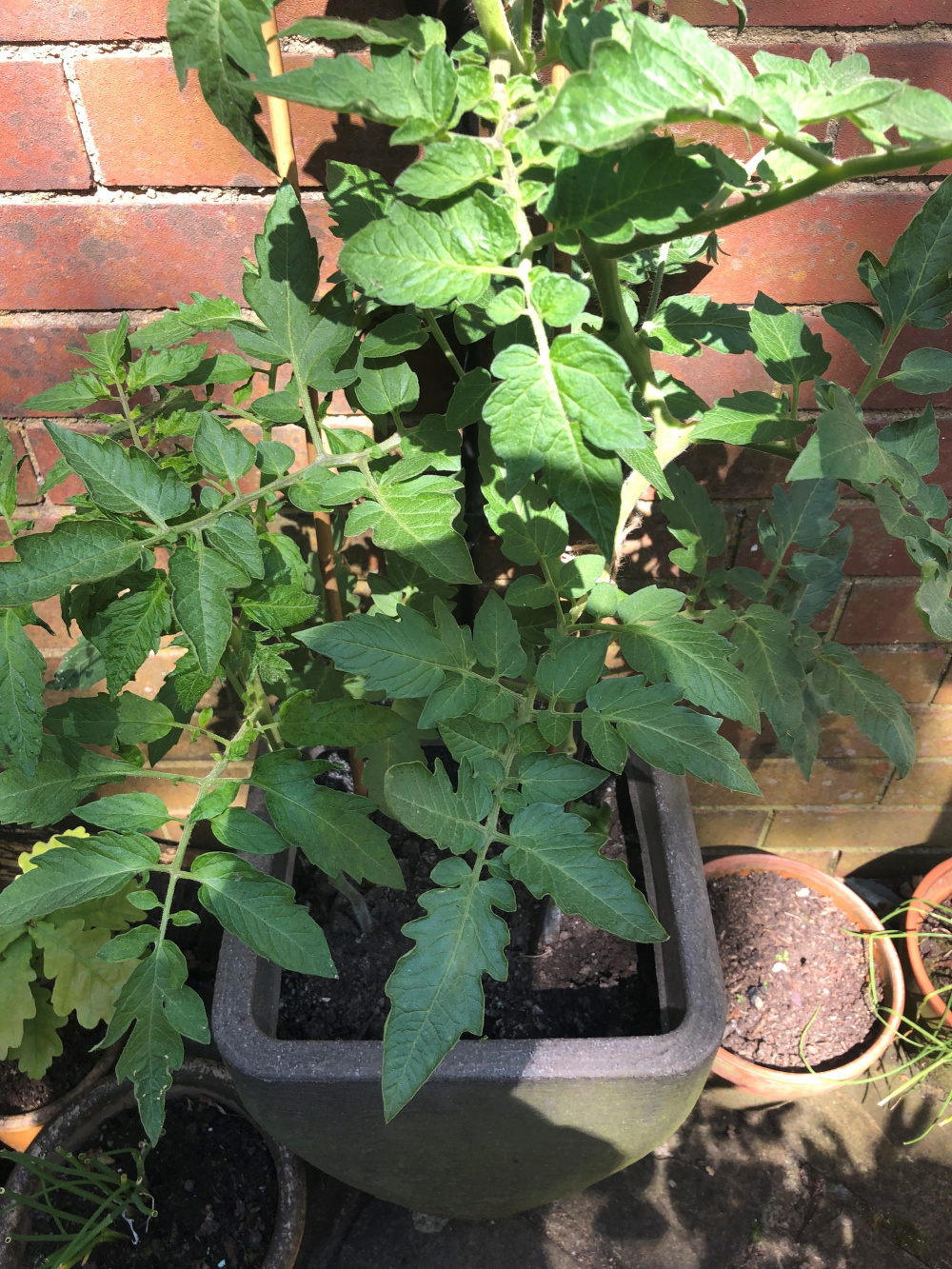 Image: https://us.v-cdn.net/6030279/uploads/editor/7o/qdixy2b3d8js.jpg