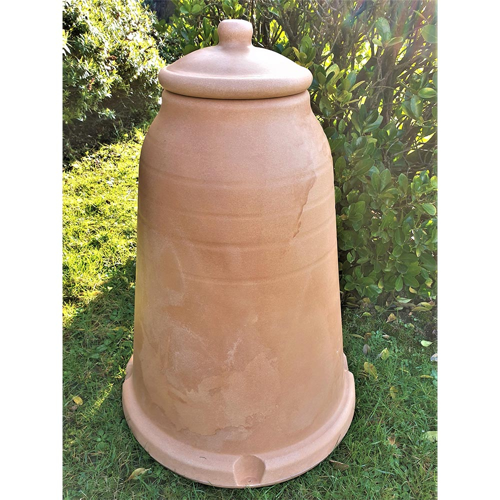 Chimney Pot planting Page 4 — BBC Gardeners' World Magazine