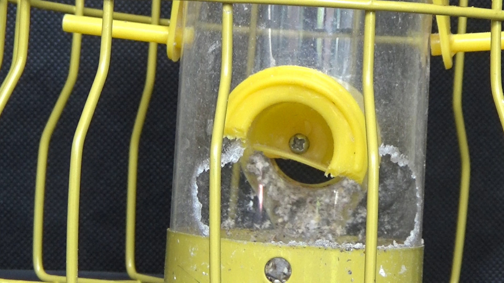 Spare parts for a Nuttery bird feeder — BBC Gardeners' World Magazine