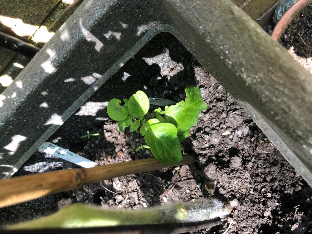 Image: https://us.v-cdn.net/6030279/uploads/editor/9m/9dfeqjbq9lhk.jpg