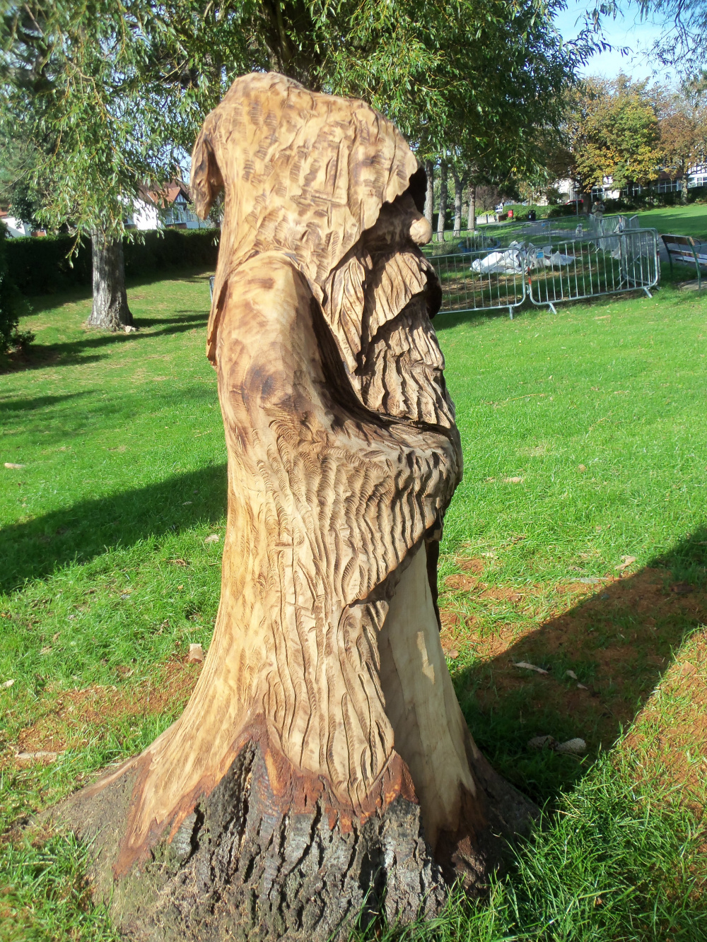 Queens Park, Craig y Don. Page 5 — BBC Gardeners' World