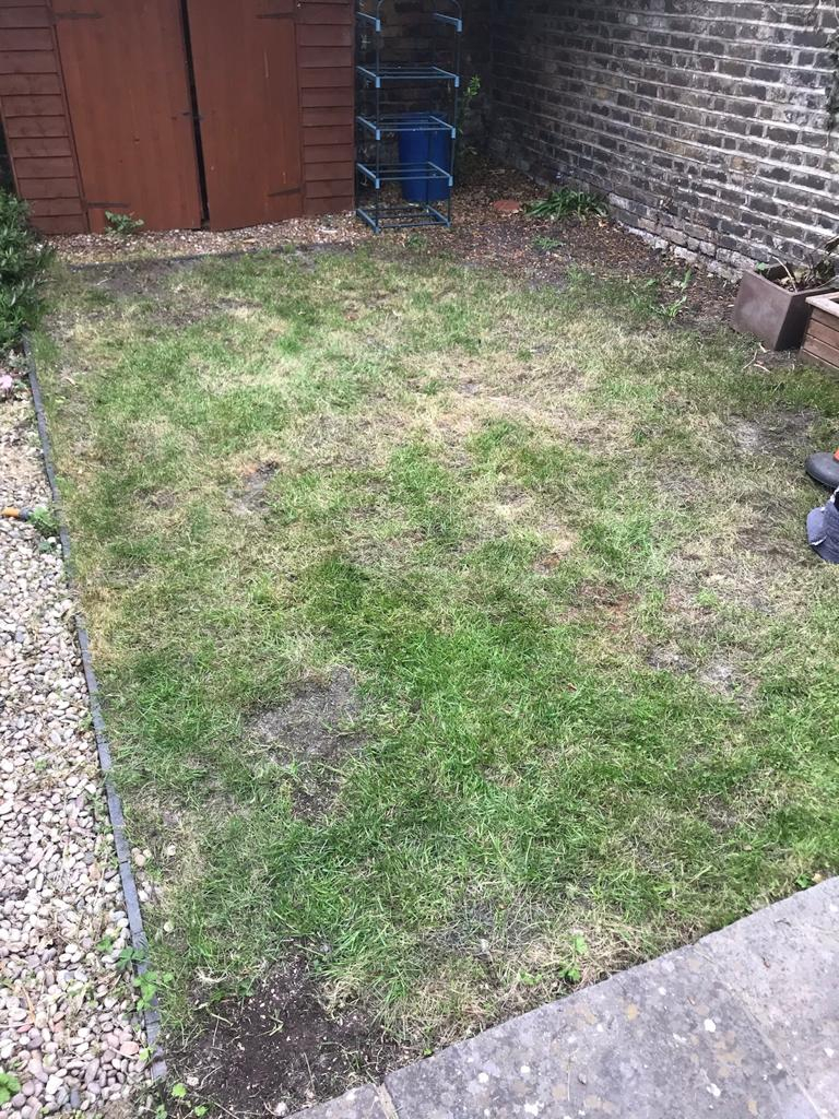 Lawn Help — Bbc Gardeners World Magazine