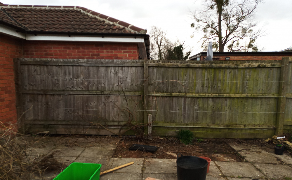 Removing patio slabs for planting — BBC Gardeners' World Magazine