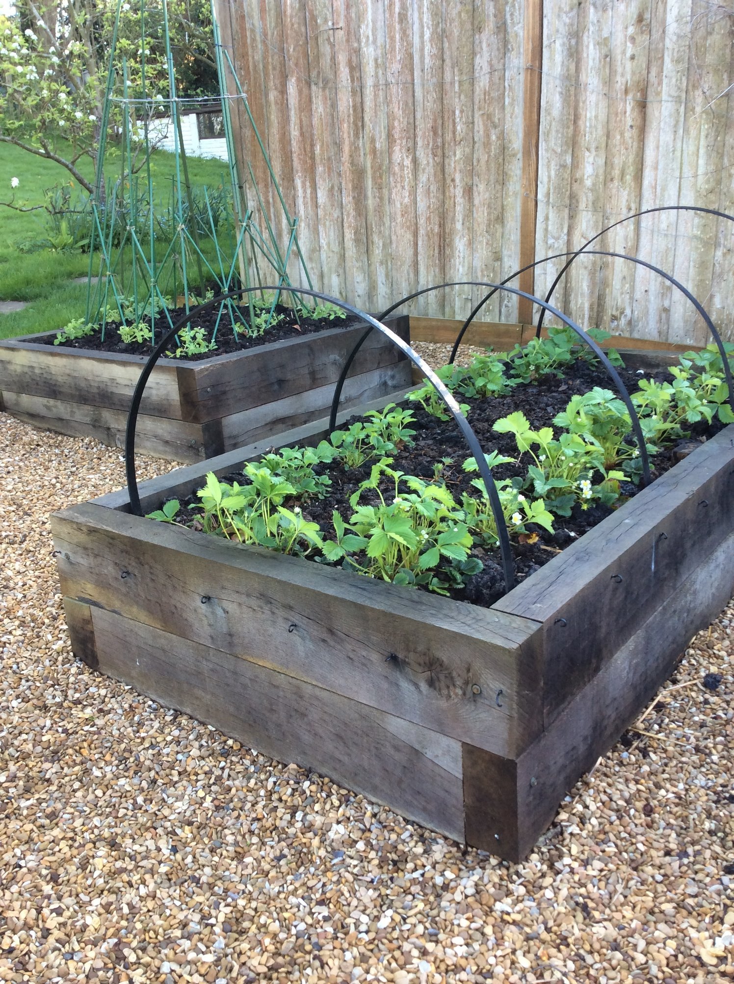 Raised sleeper beds Page 2 — BBC Gardeners' World Magazine