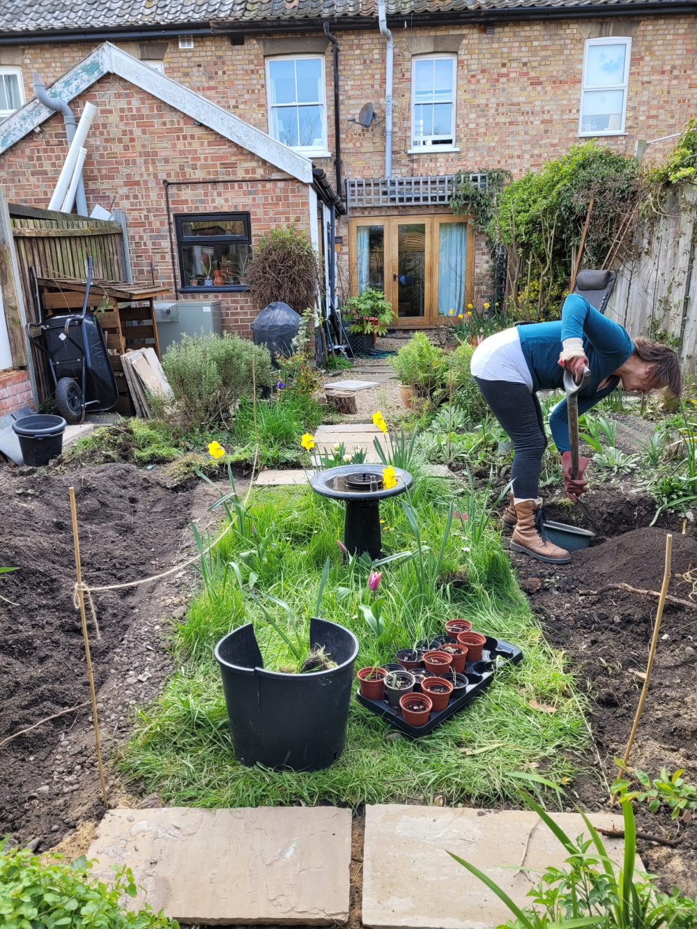 Clearing raised patio area to plant climbing Veg Page 2 — BBC