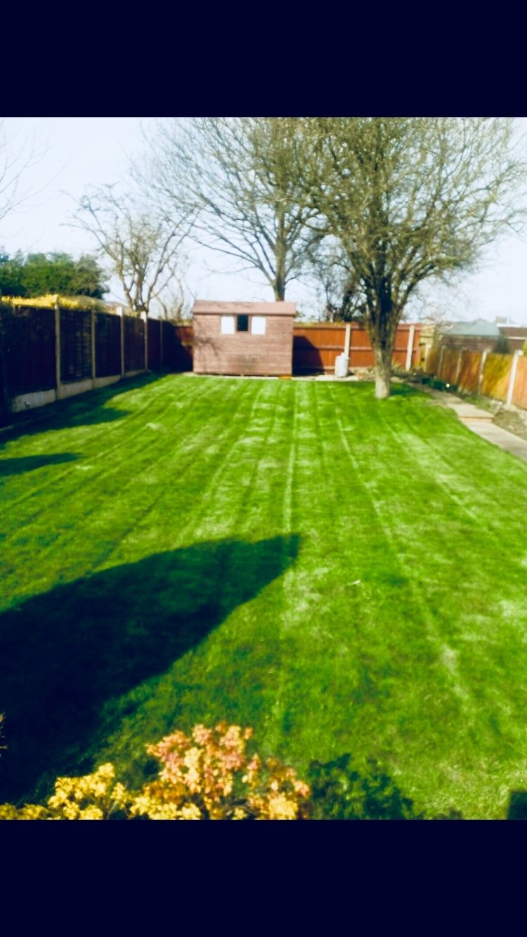 Green thumb are they worth it - Page 3 — BBC Gardeners' World Magazine