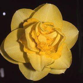 Image: https://us.v-cdn.net/6030279/uploads/editor/bt/idn8r8aaatc0.jpg