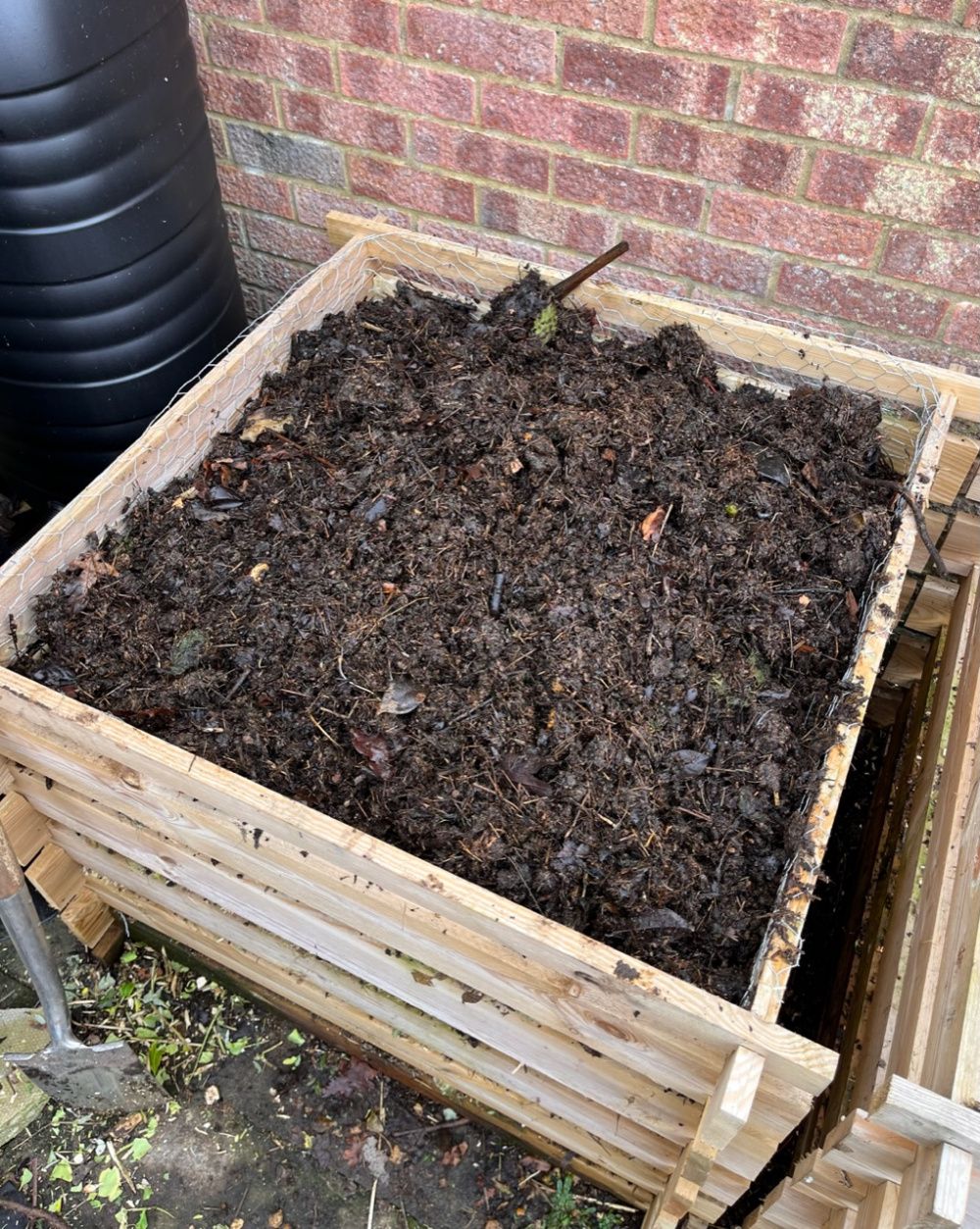 Shredding brambles for compost? Page 3 — BBC Gardeners' World Magazine