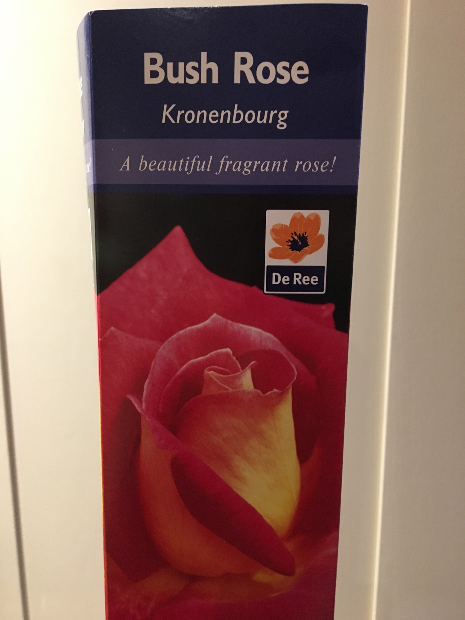 Bare root rose wrapped in compost? — BBC Gardeners' World Magazine