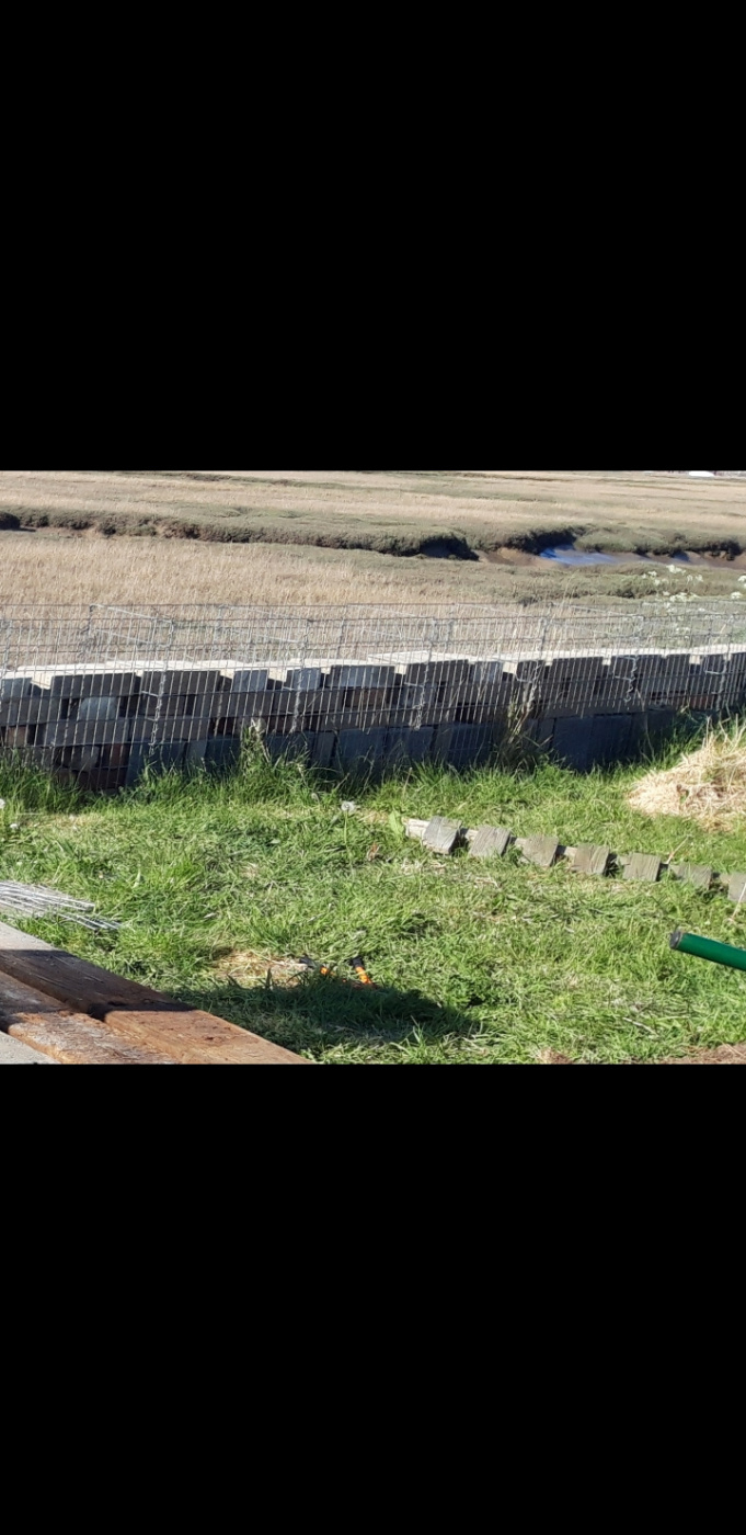 Turf wall — BBC Gardeners' World Magazine