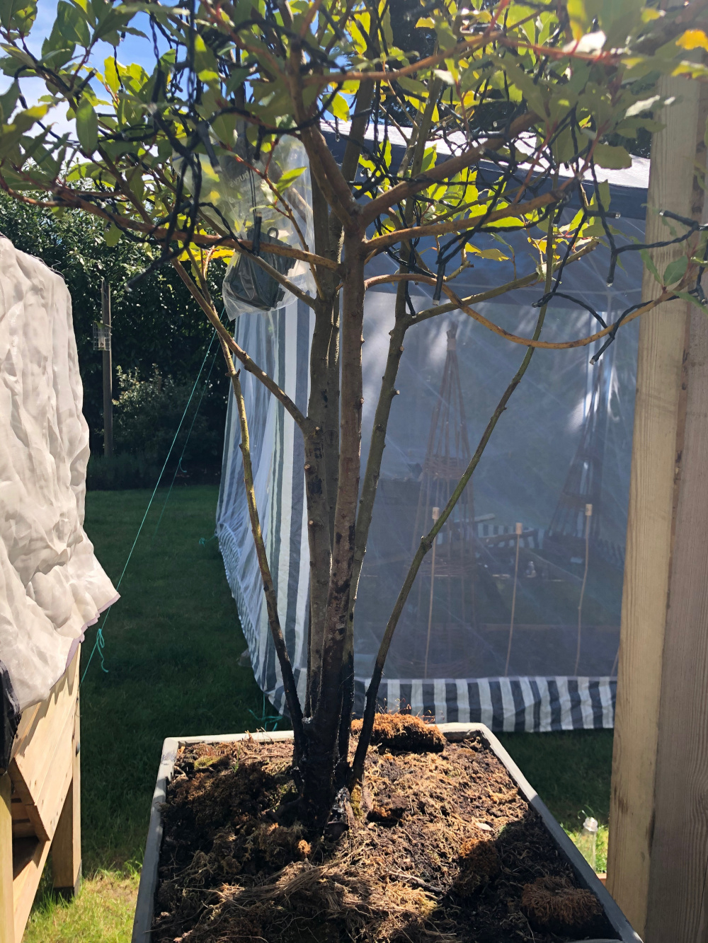 Image: https://us.v-cdn.net/6030279/uploads/editor/c9/un9k3ziaiu69.jpg