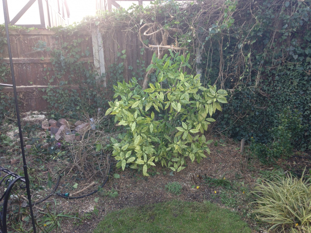 Image: https://us.v-cdn.net/6030279/uploads/editor/cp/g00vd1zdimo3.jpg