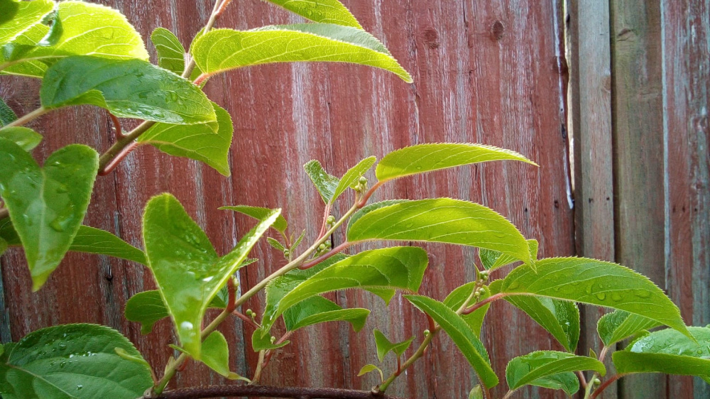 Image: https://us.v-cdn.net/6030279/uploads/editor/di/sgwcvujp8jkb.jpg