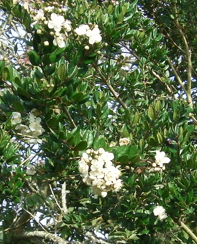 Image: https://us.v-cdn.net/6030279/uploads/editor/ev/5l5rh08xsb4k.jpg