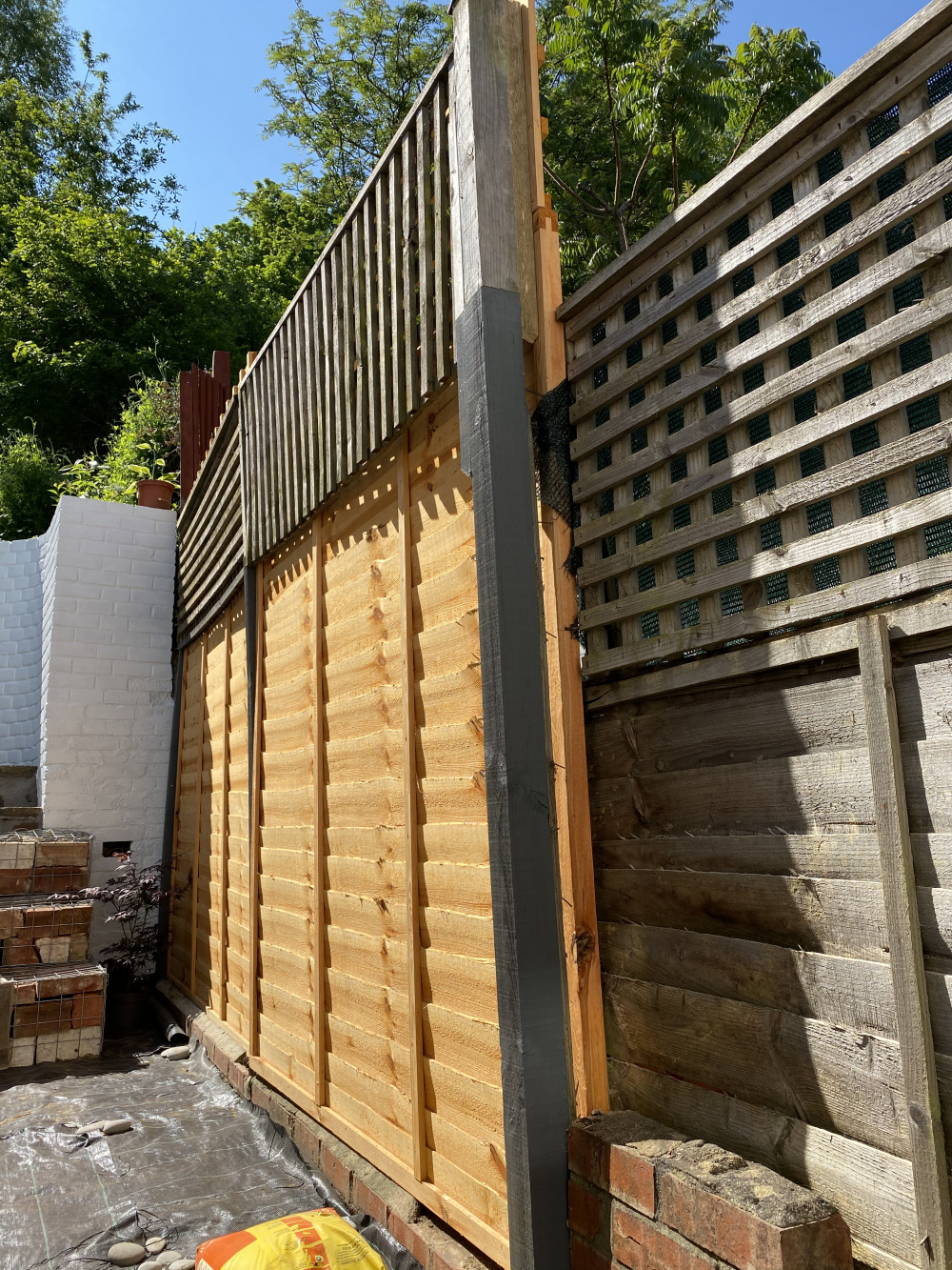 Neighbours Fence — BBC Gardeners' World Magazine