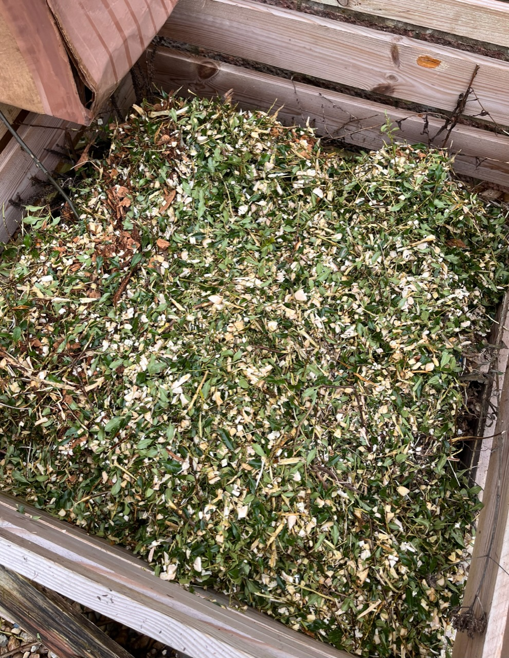Shredding brambles for compost? Page 2 — BBC Gardeners' World Magazine