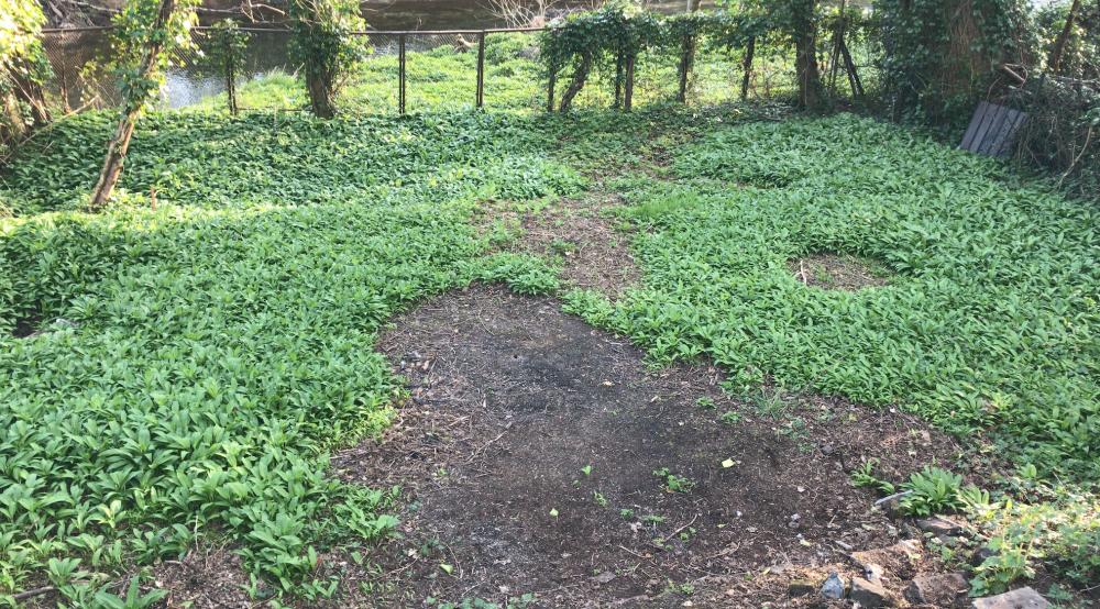 Image: https://us.v-cdn.net/6030279/uploads/editor/fn/qnl7naao8j6p.png