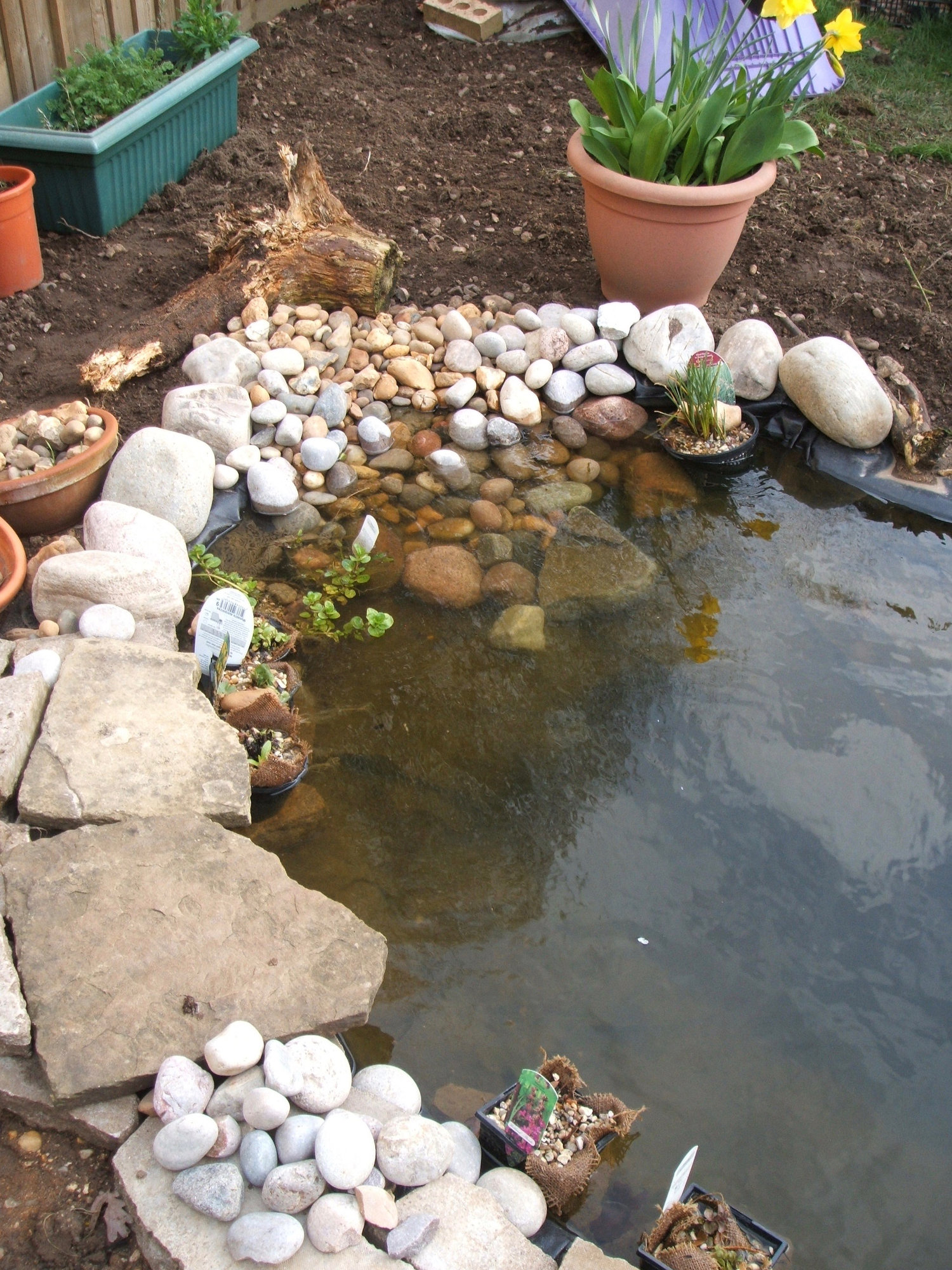 Wildlife ponds, edging and hessian.... Page 3 — BBC Gardeners' World