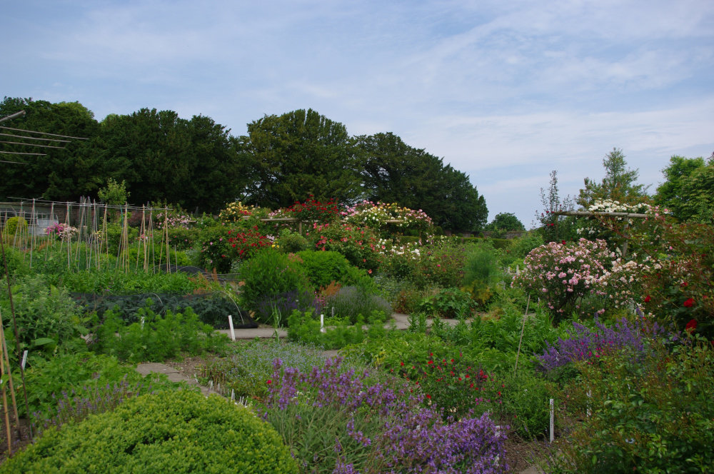 Burton Agnes Hall and Garden — BBC Gardeners' World Magazine