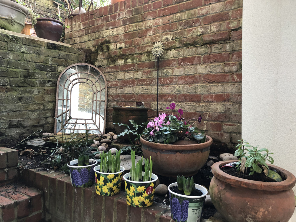 Raised bed against a retaining wall — BBC Gardeners' World Magazine