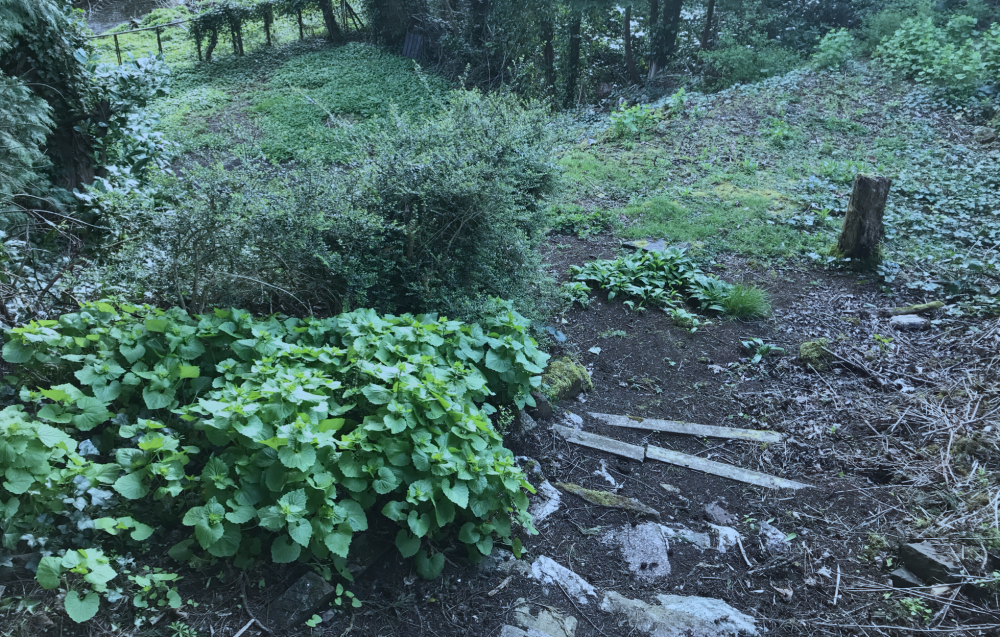 Image: https://us.v-cdn.net/6030279/uploads/editor/h4/rllqxoi6vtgm.png