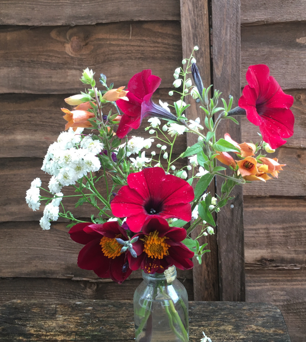 Jam Jar Posies 2021 Page 7 — BBC Gardeners' World Magazine