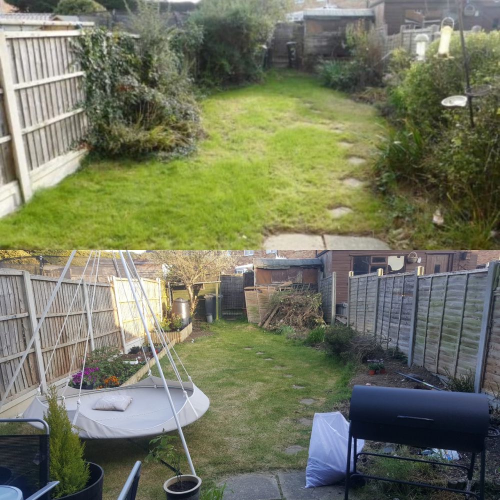 Renovating an old garden, need ideas for a dead space! — BBC Gardeners