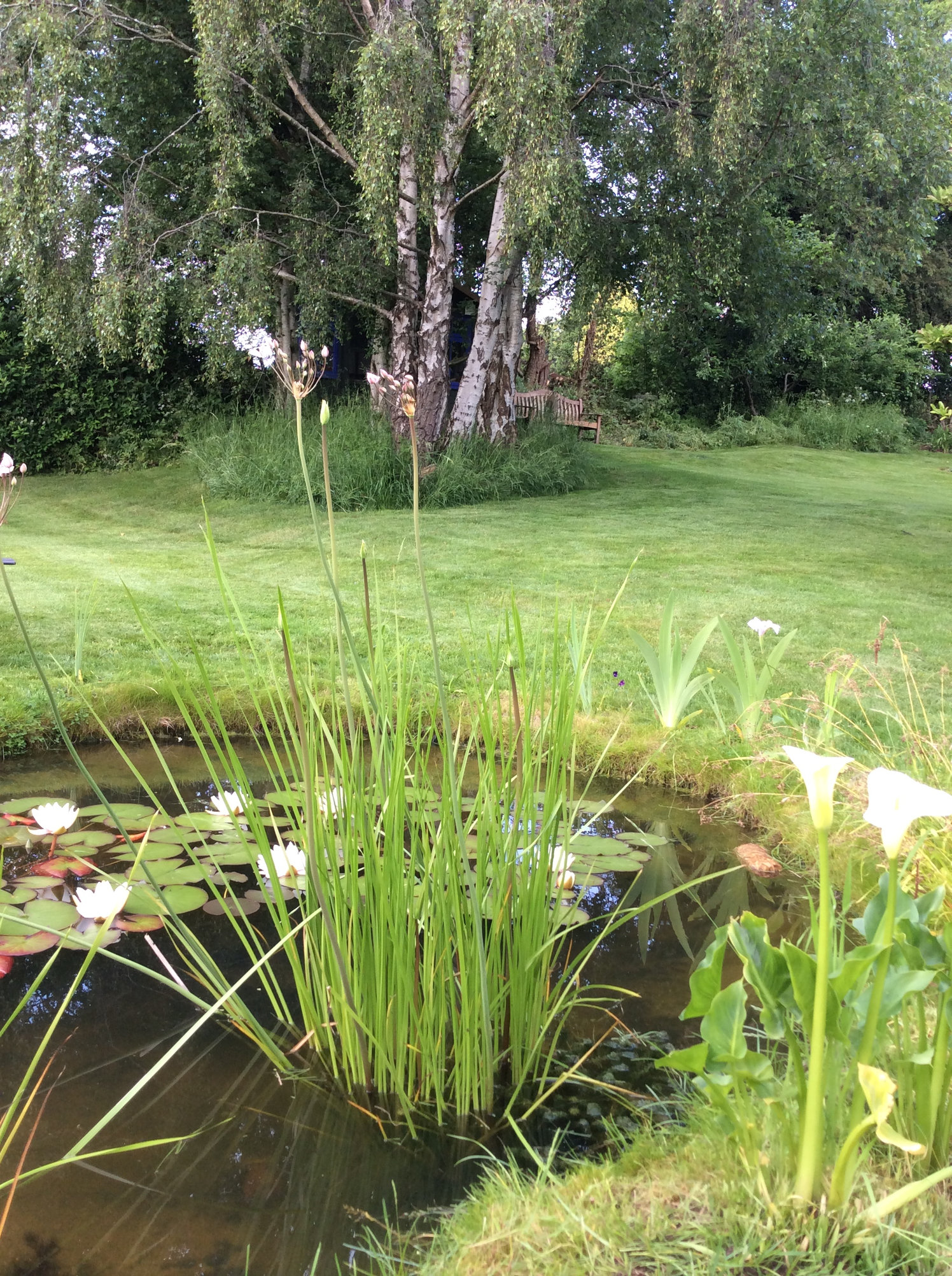 Wildlife ponds, edging and hessian.... — BBC Gardeners' World Magazine