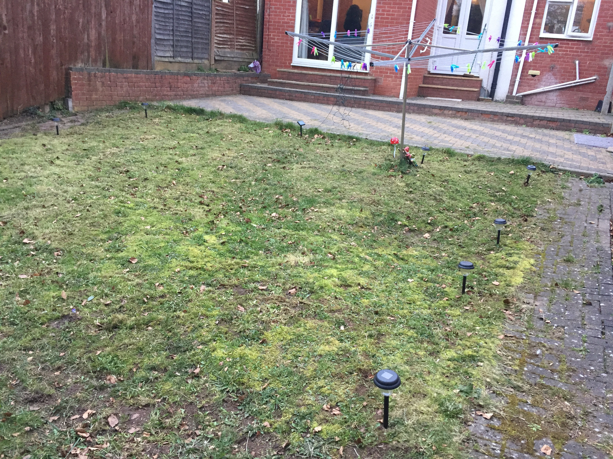 Bumpy lawn Absolute beginner — BBC Gardeners' World Magazine