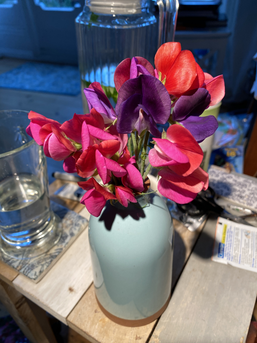 Sweet Peas Not Flowering Page 2 — BBC Gardeners' World Magazine