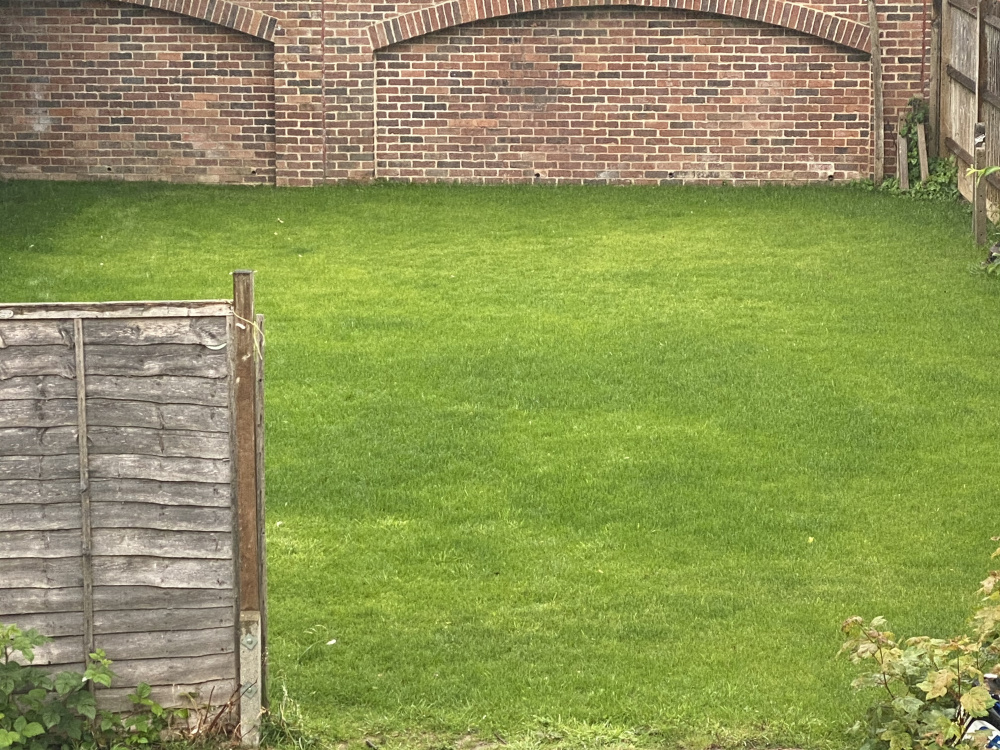 Why is my lawn growing like this? — BBC Gardeners' World Magazine