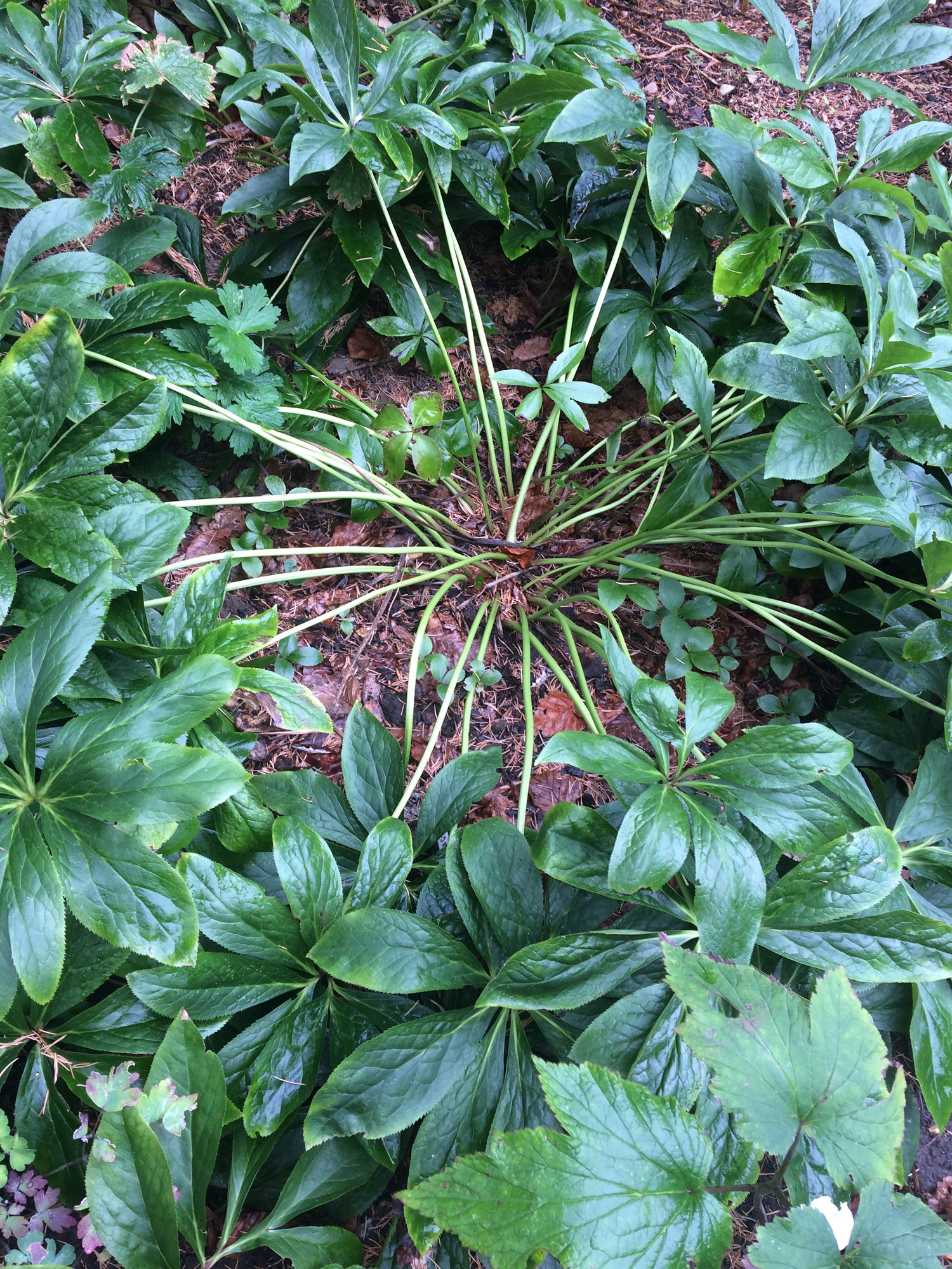 Image: https://us.v-cdn.net/6030279/uploads/editor/nj/v0hq45adr8wa.jpg