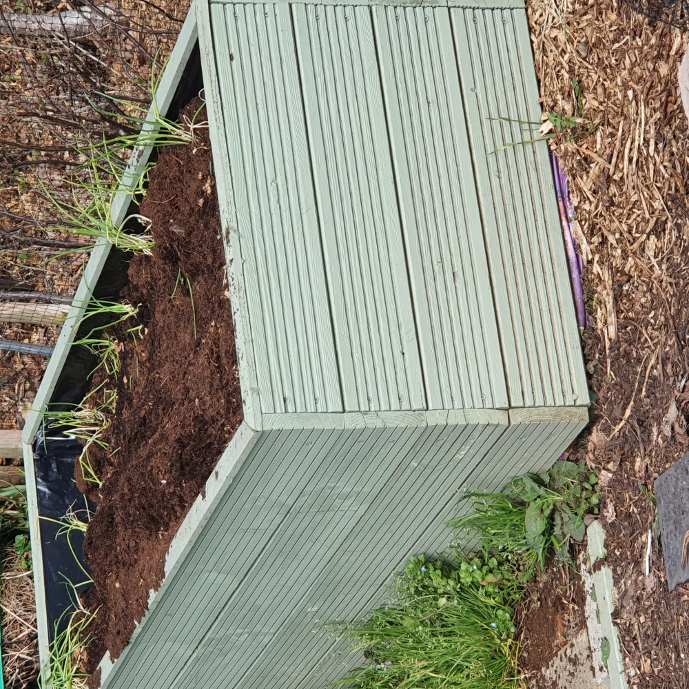 Fox digging in raised bed — BBC Gardeners' World Magazine