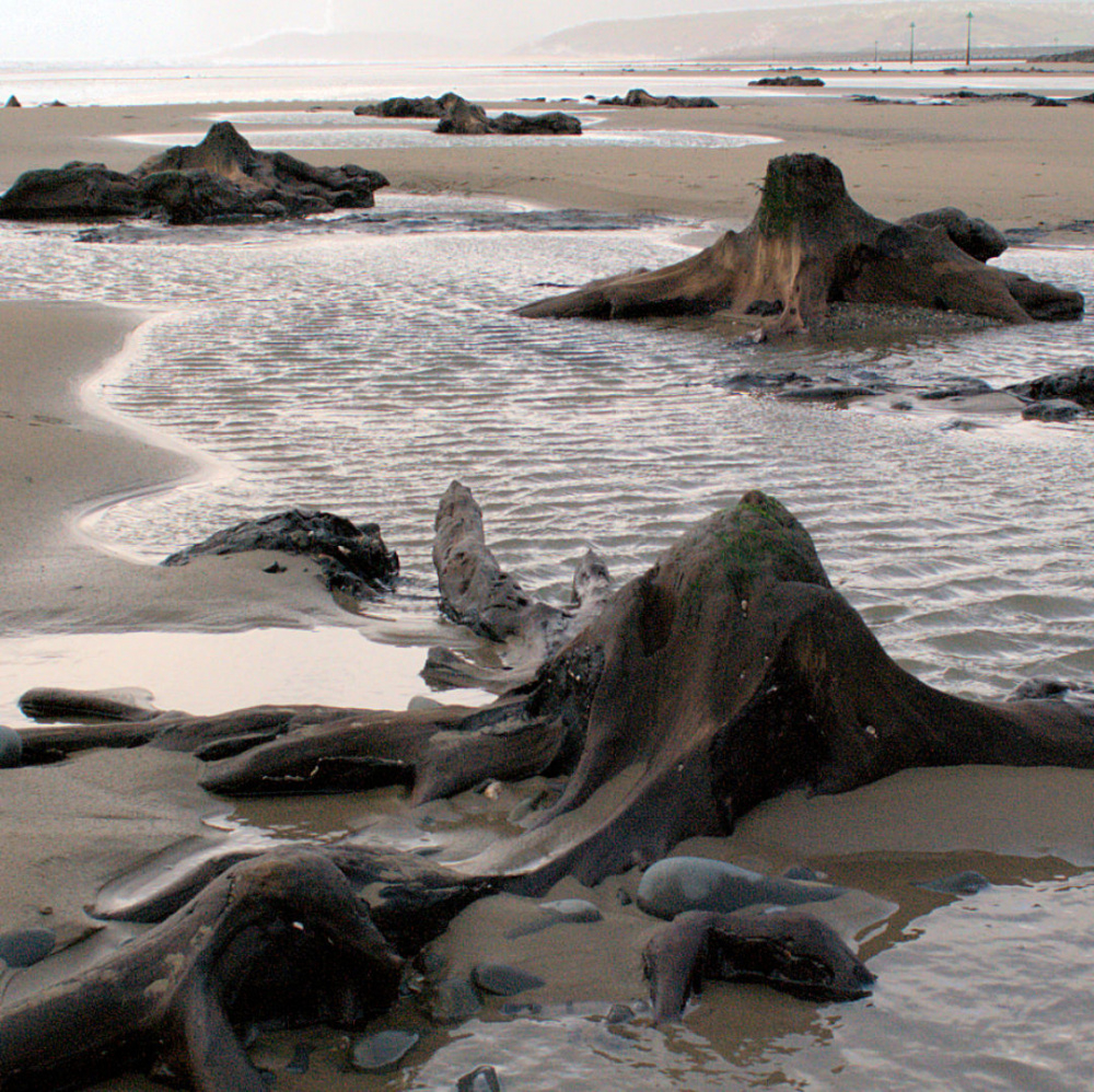 Image: https://us.v-cdn.net/6030279/uploads/editor/p3/sjrw917p7vaq.jpg