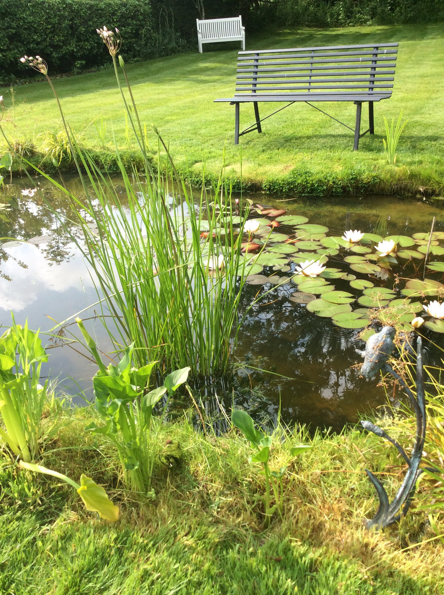 Wildlife ponds, edging and hessian.... — BBC Gardeners' World Magazine