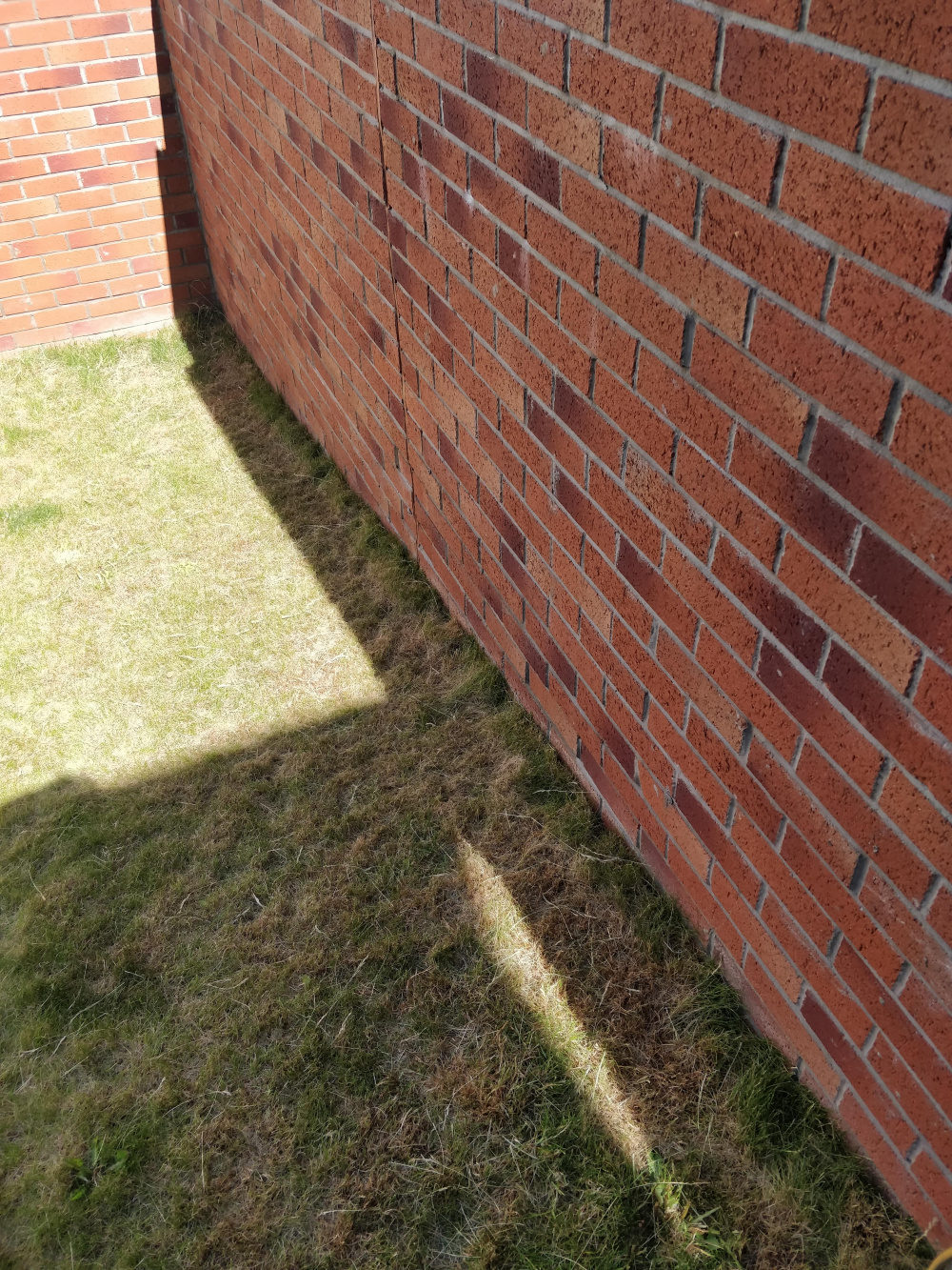 Image: https://us.v-cdn.net/6030279/uploads/editor/re/4kiqib85tizz.jpg