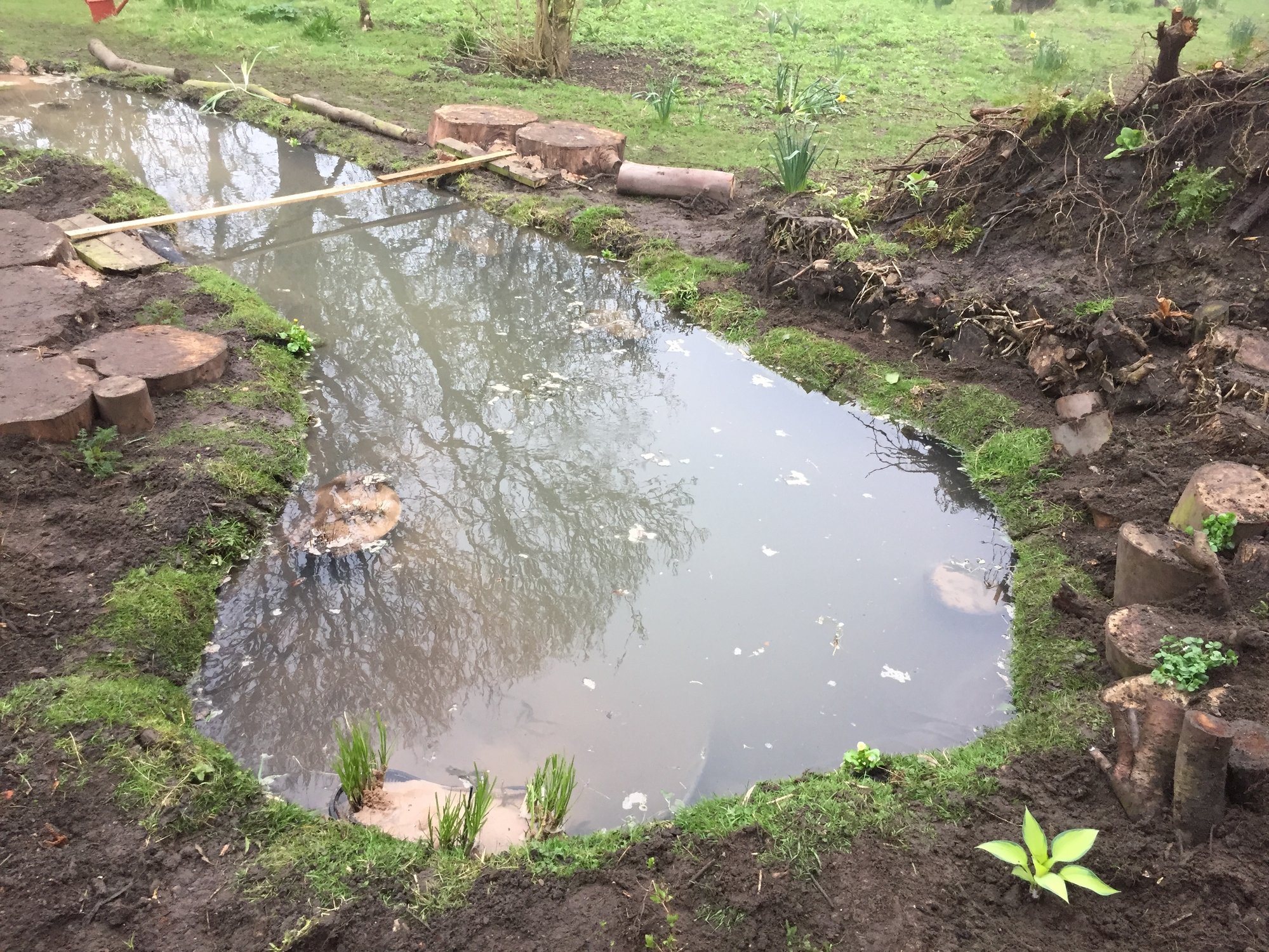 Building a wildlife pond Page 5 — BBC Gardeners' World Magazine