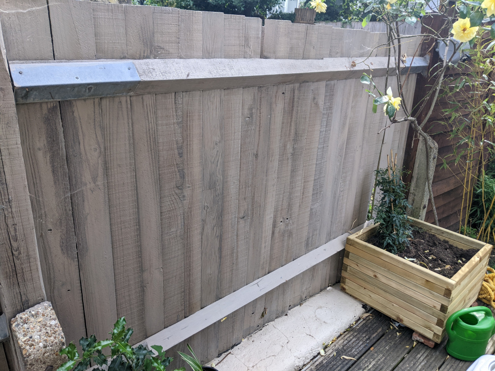 Putting up trellis for jasmine — BBC Gardeners' World Magazine