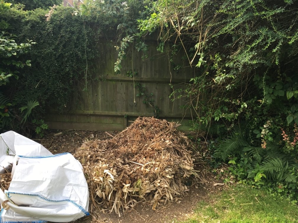 Removing Pampas Grass. Page 2 — BBC Gardeners' World Magazine