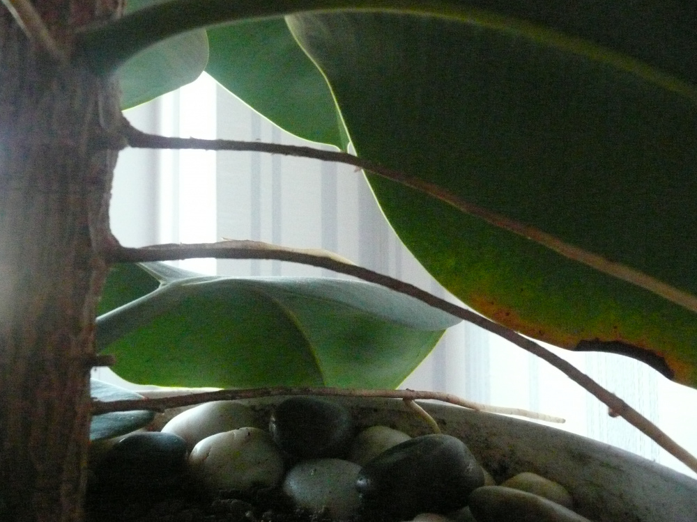Image: https://us.v-cdn.net/6030279/uploads/editor/sp/hqvdews1osoo.jpg
