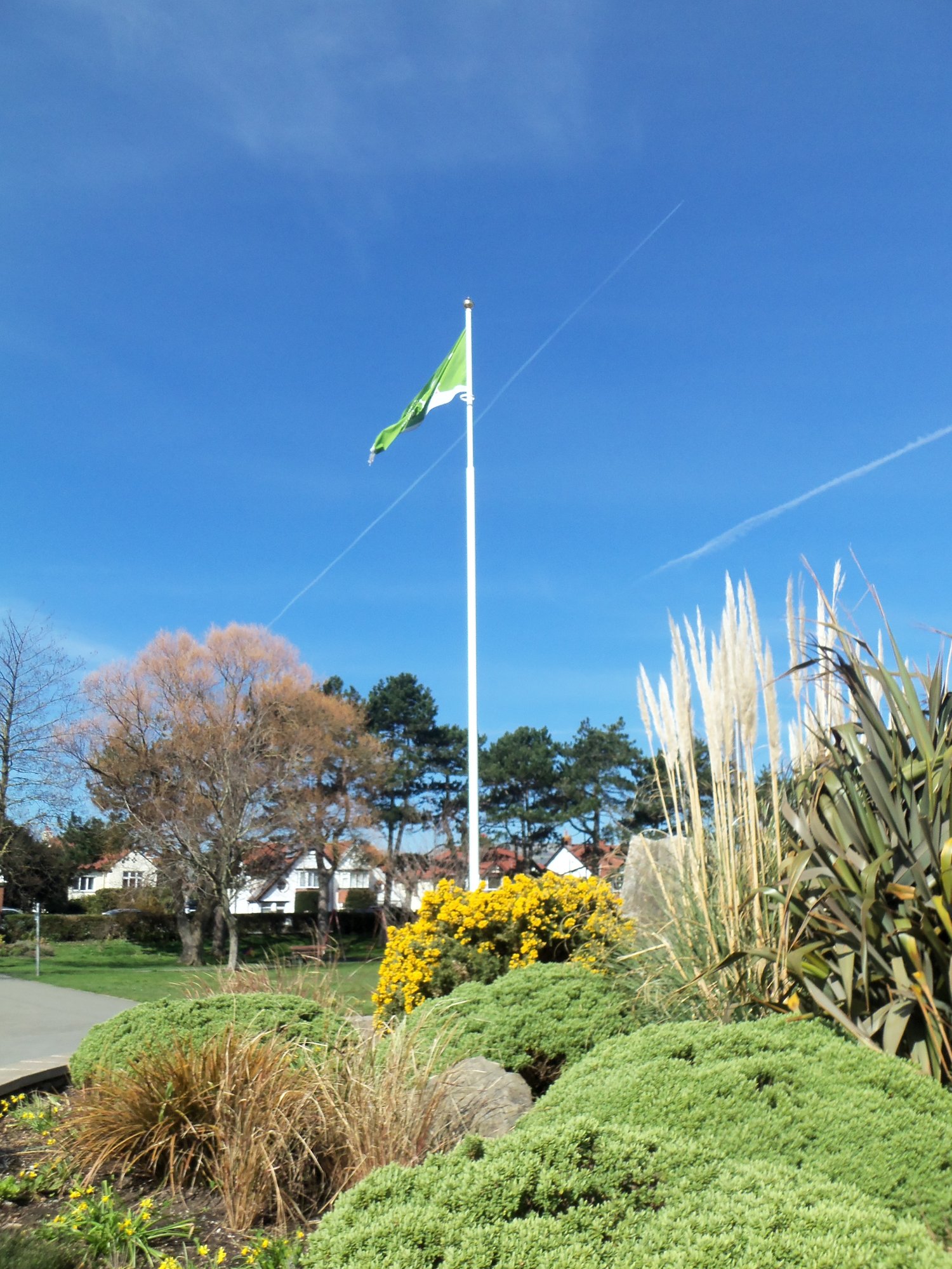 Queens Park, Craig y Don. Page 2 — BBC Gardeners' World