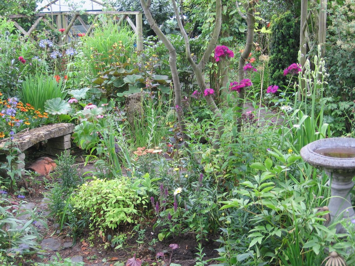 Tall, colourful, perennial flowers, for dappled partshade, flowering