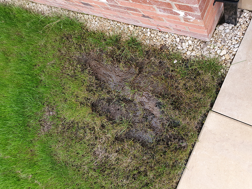New Build Grass Mud Patch — BBC Gardeners' World Magazine