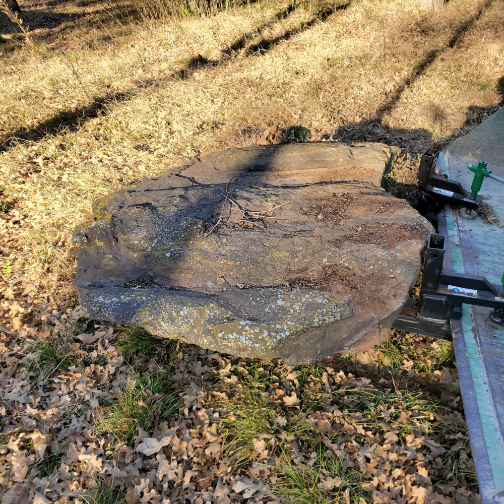 Rock harvesting Page 2 — BBC Gardeners' World Magazine