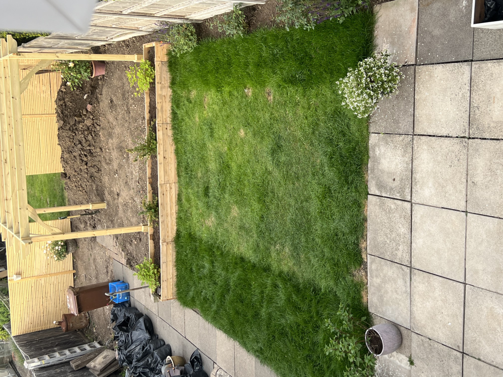 Grass different shades of green — BBC Gardeners' World Magazine