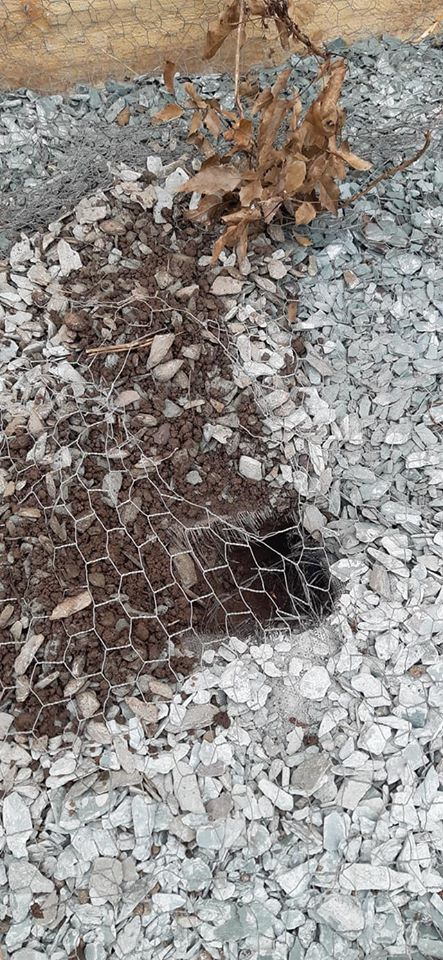 Image: https://us.v-cdn.net/6030279/uploads/editor/wd/9cs73501kqih.jpg