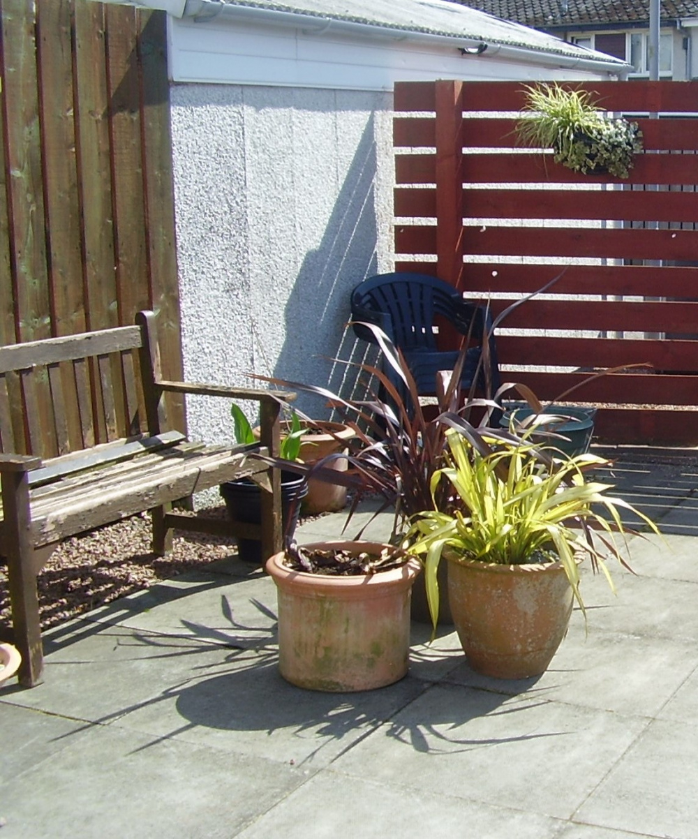 Neighbour growing plants up my garage wall — BBC Gardeners' World Magazine
