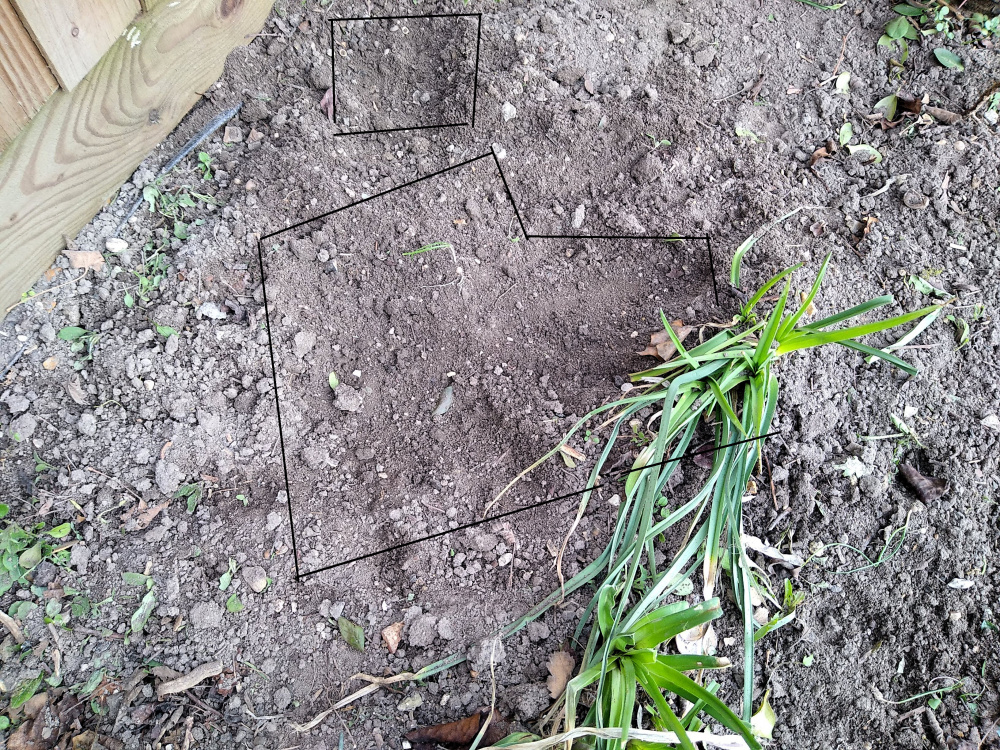 Shallow digging in the flower borders — BBC Gardeners' World Magazine